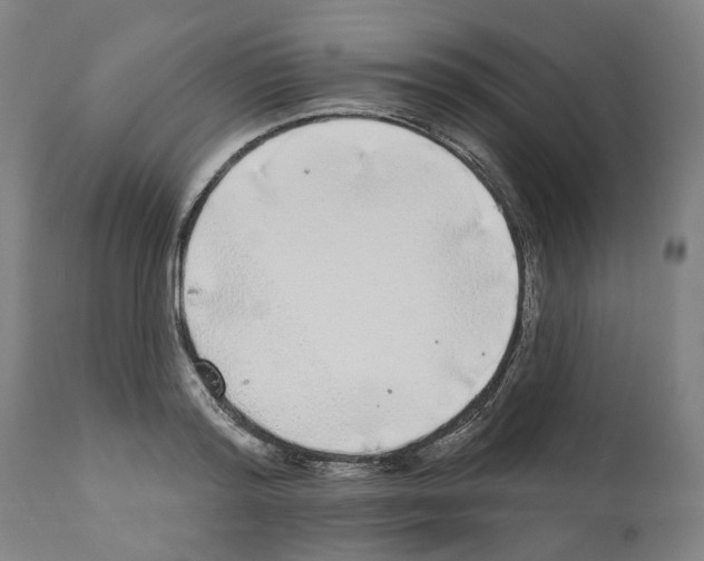 X0000112360796200909241124