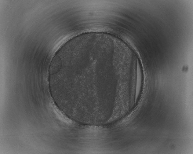 X0000112360797200909241124