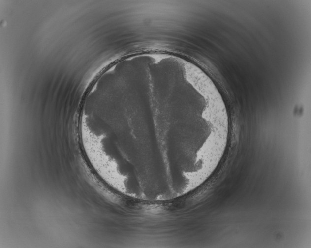 X0000112360798200909241124