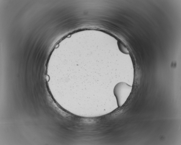 X0000112360799200909241124