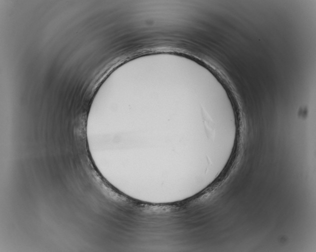 X0000112360801200909241124
