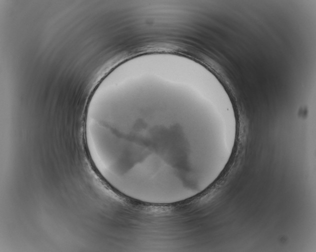 X0000112360802200909241124