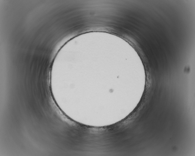 X0000112360804200909241124
