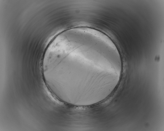 X0000112360806200909241124