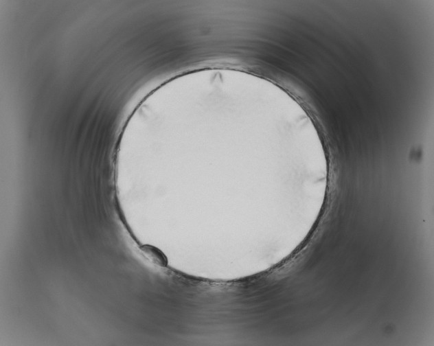 X0000112360808200909241124