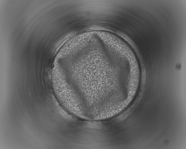 X0000112360809200909241124