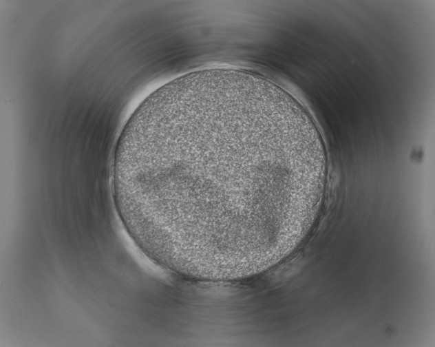 X0000112360811200909241124
