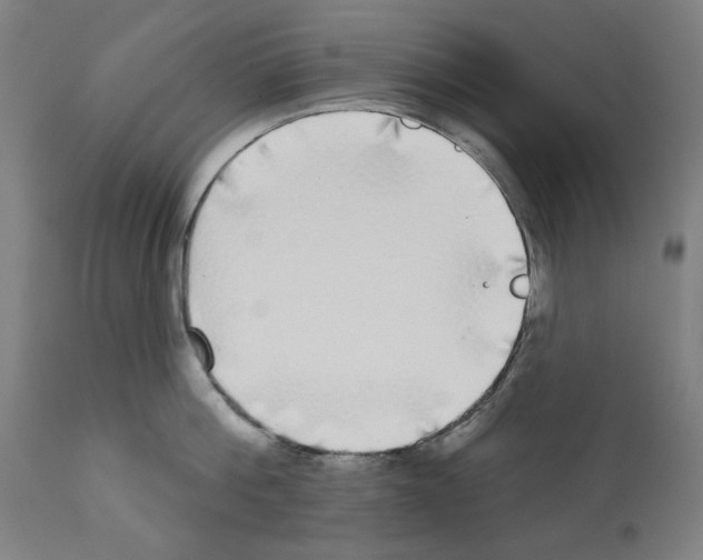 X0000112360812200909241124