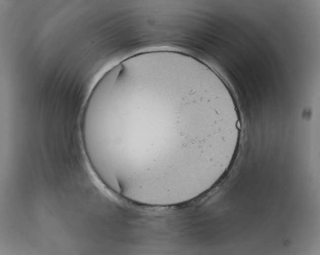 X0000112360813200909241124