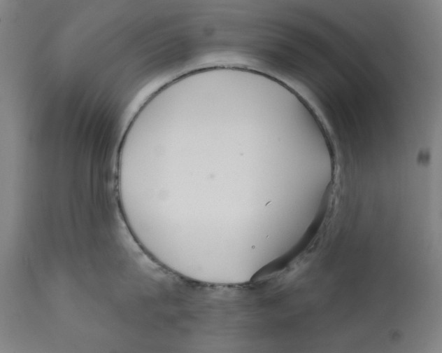 X0000112360815200909241124