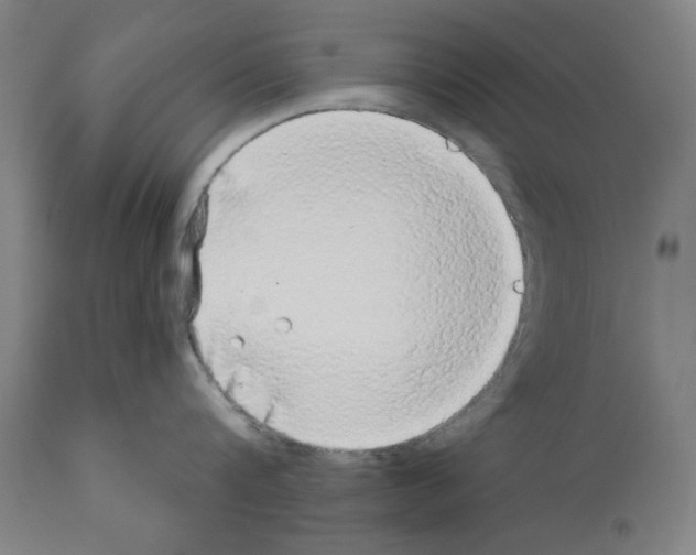 X0000112360816200909241124
