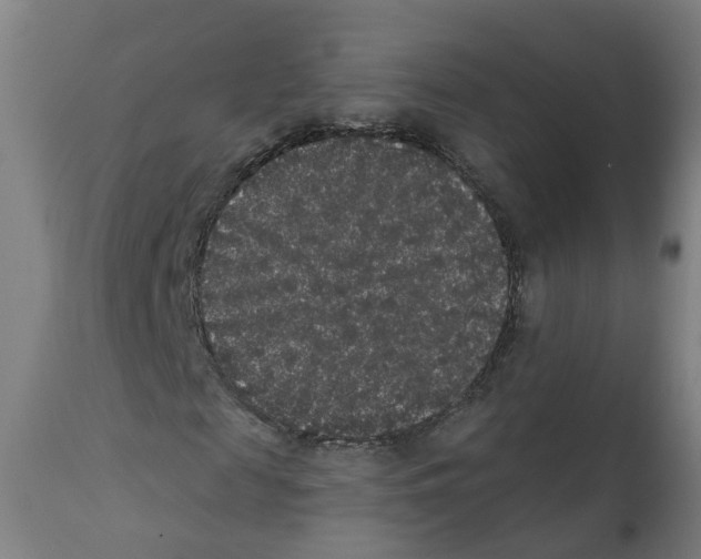 X0000112360817200909241123