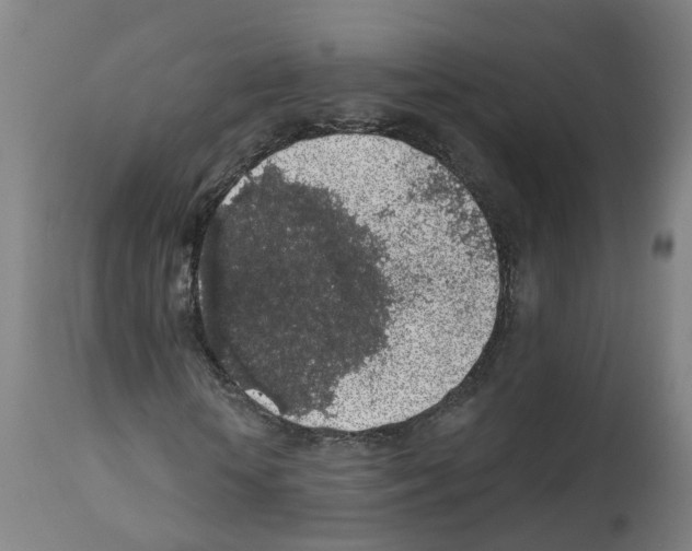 X0000112360818200909241123