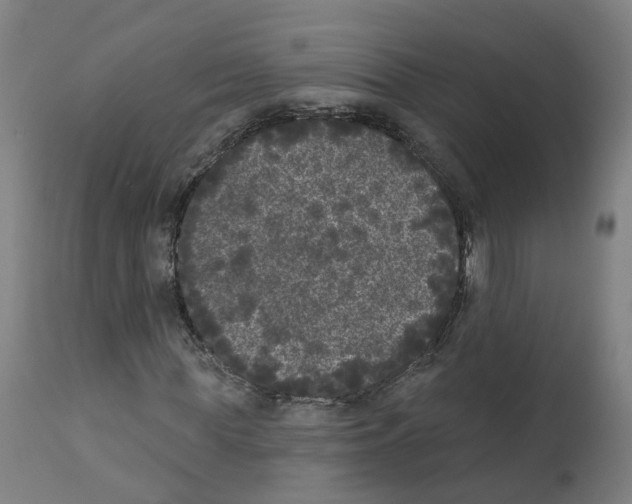 X0000112360819200909241123