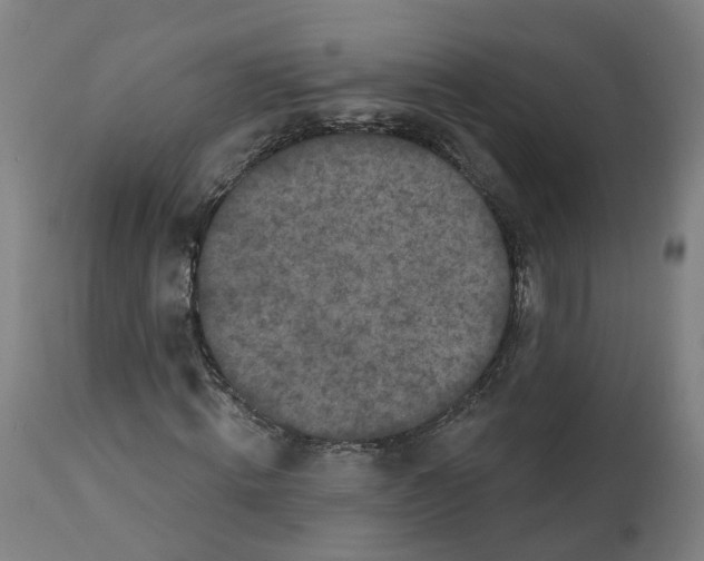 X0000112360820200909241123