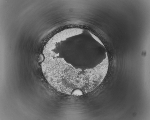 X0000112360822200909241123