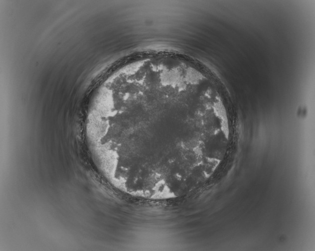 X0000112360823200909241123
