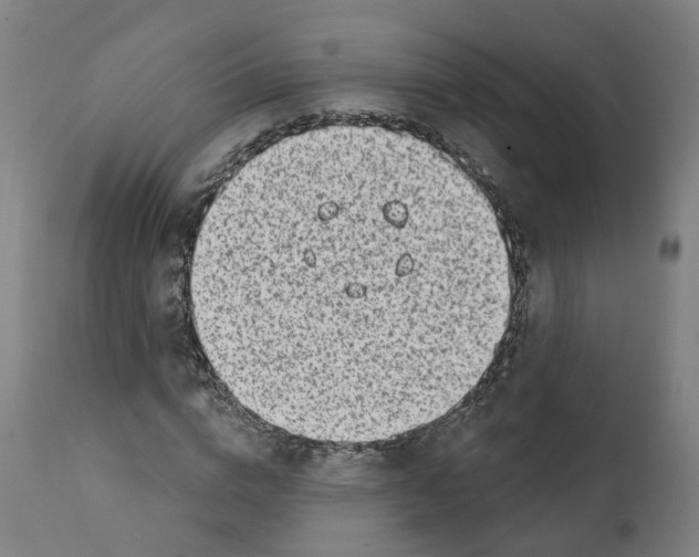 X0000112360824200909241123