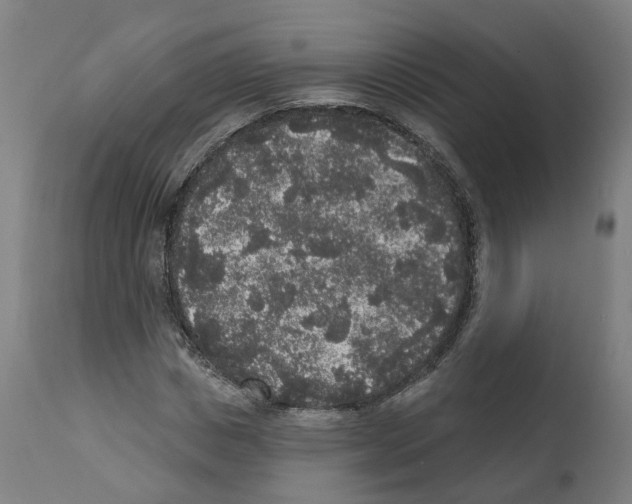 X0000112360825200909241123