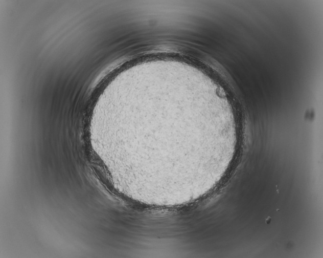 X0000112360826200909241124