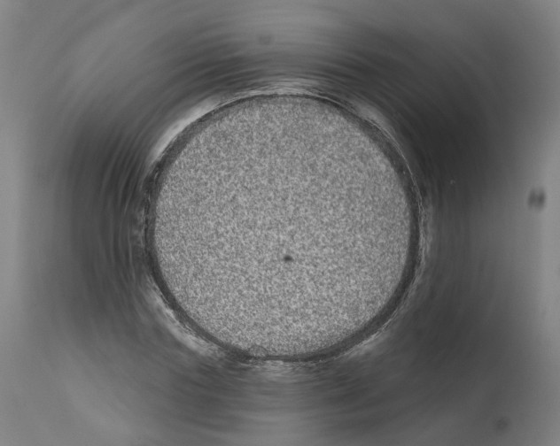 X0000112360827200909241124