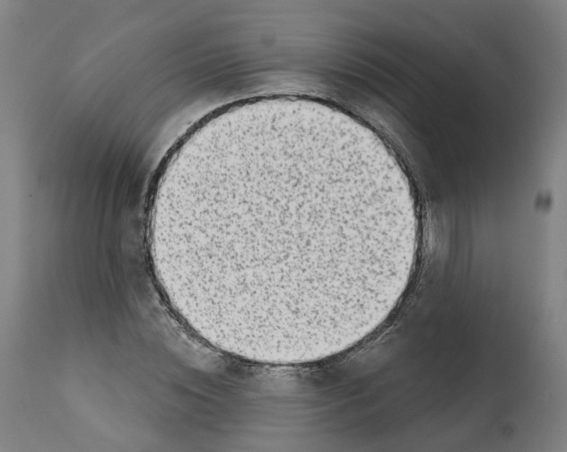 X0000112360828200909241124