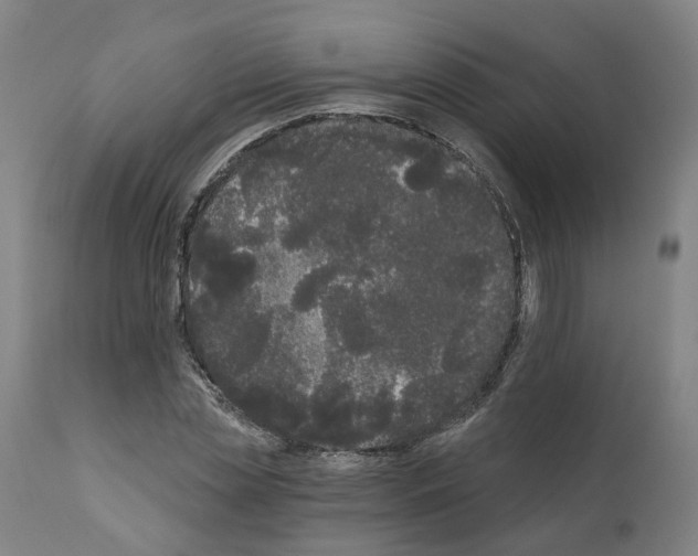 X0000112360829200909241124