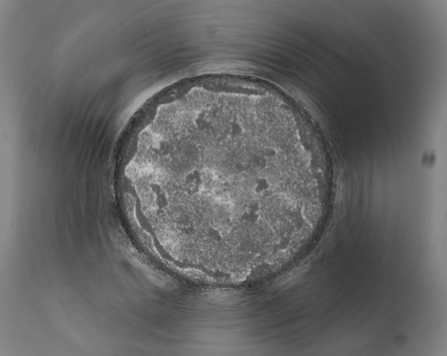 X0000112360830200909241124