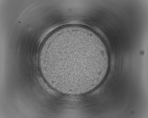 X0000112360831200909241124