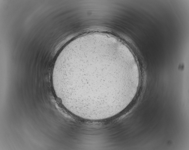 X0000112360833200909241124