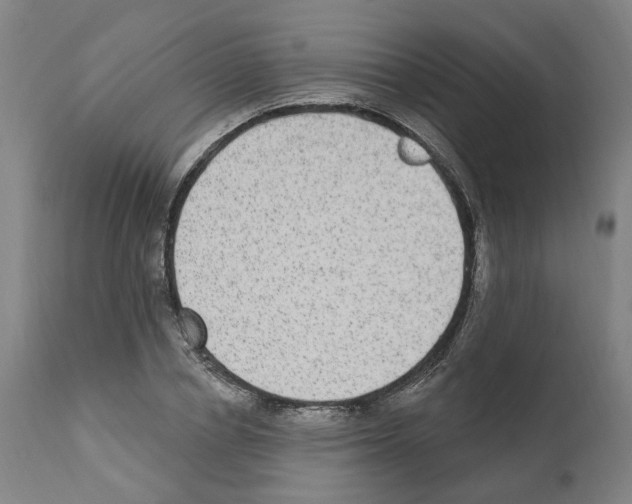 X0000112360834200909241124
