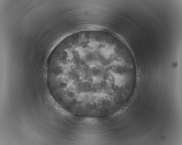 X0000112360835200909241124