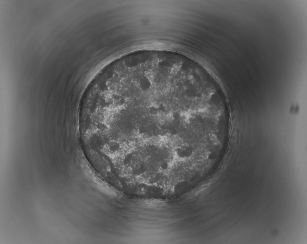 X0000112360837200909241124