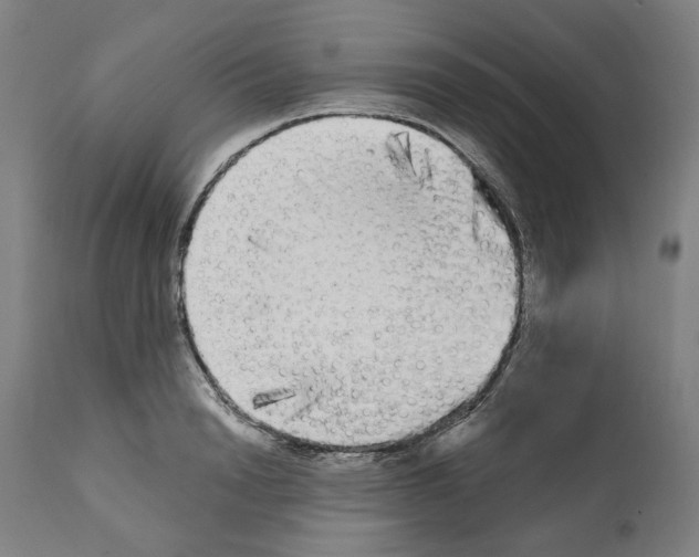 X0000112360846200909241124