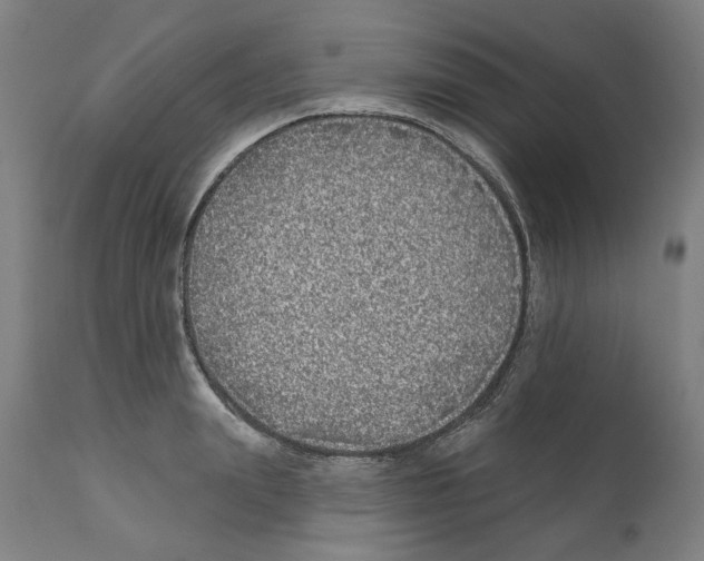 X0000112360847200909241124