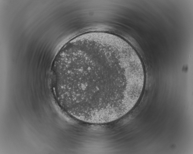 X0000112360850200909241124