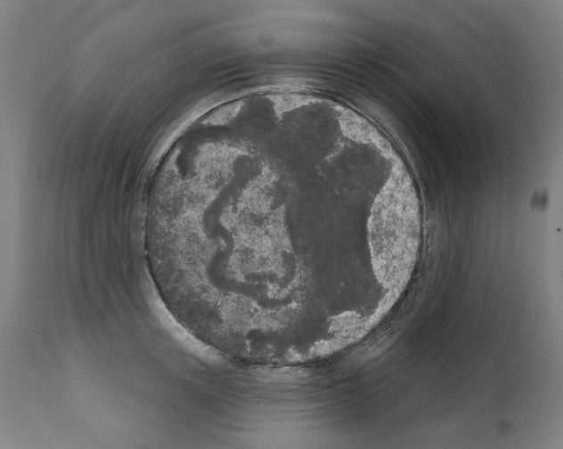 X0000112360851200909241124