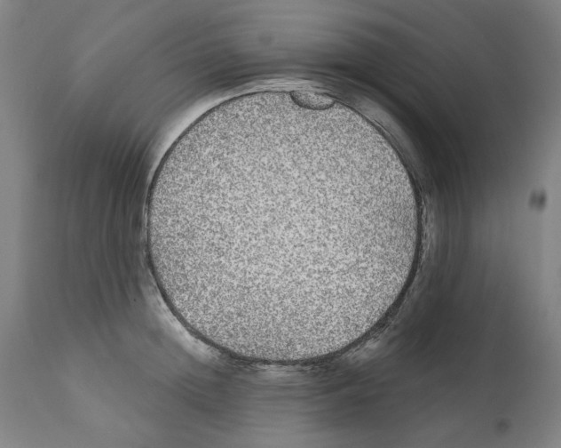 X0000112360852200909241124