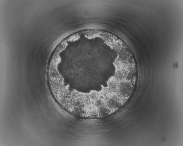 X0000112360853200909241124