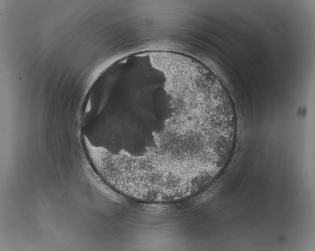 X0000112360854200909241124