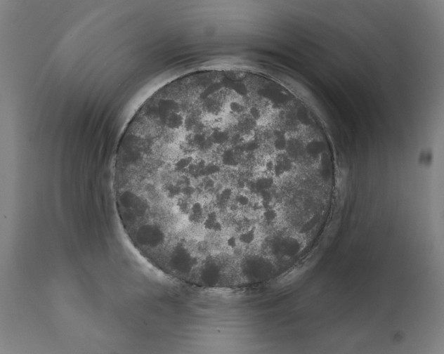X0000112360855200909241124