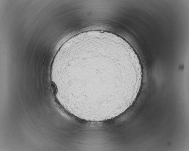 X0000112360858200909241124