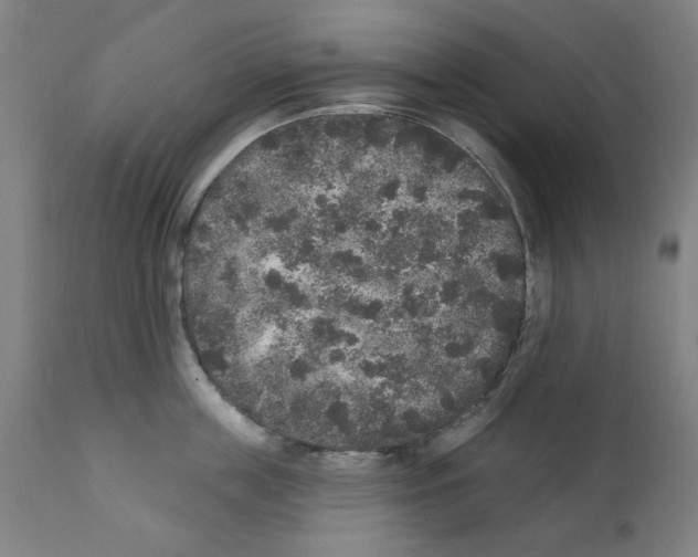 X0000112360859200909241124