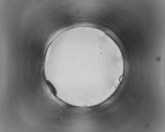 X0000112360860200909241124