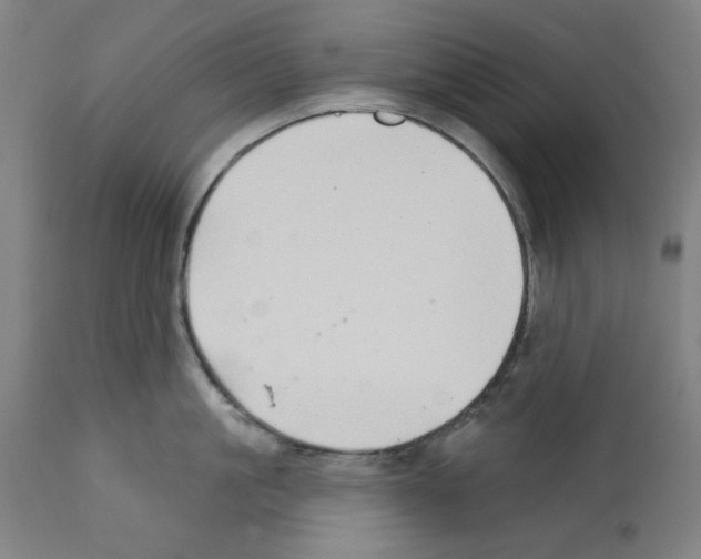 X0000112360861200909241124
