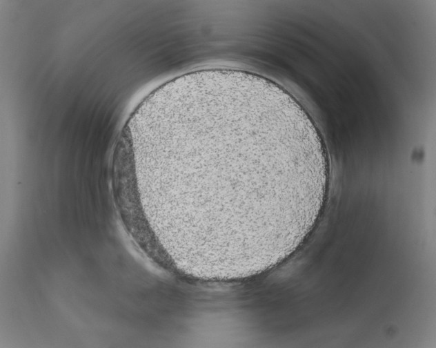 X0000112360862200909241124