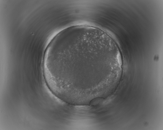 X0000112360863200909241124