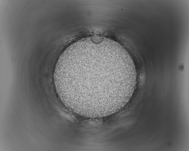 X0000112360865200909241123