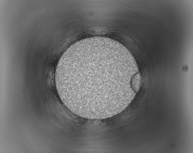X0000112360866200909241123