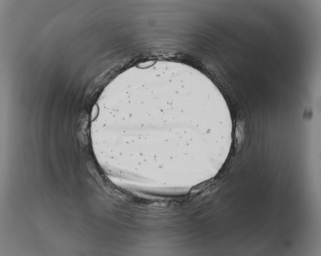 X0000112360867200909241123